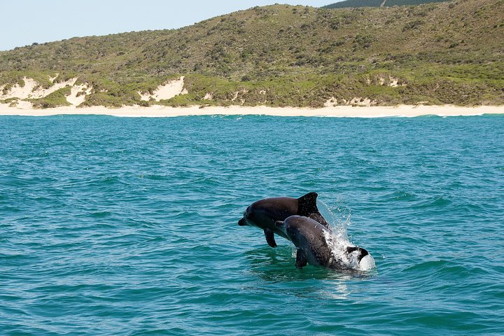 Knysna Marine Life & Garden Route Coastline Experience - Photo 1 of 11